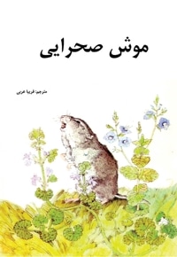 موش صحرایی